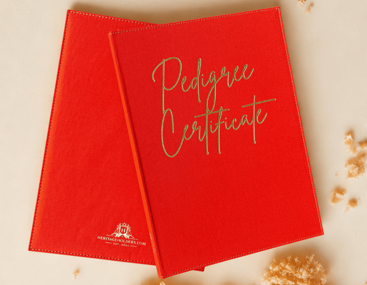 Executive Pedigree Registration Certificate Folder - Burnt Orange