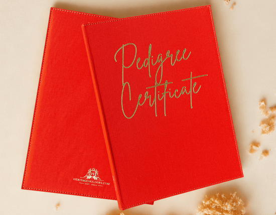 Executive Pedigree Registration Certificate Folder - Burnt Orange