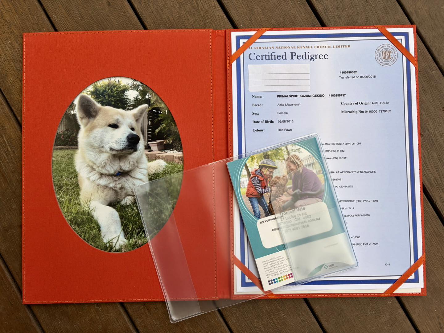 Heritage Holders was born from the love of a Japanese Akita named Kazumi. Discover Kelly's story and why she created beautiful document holders for the moments that matter most.