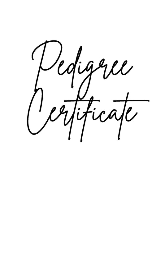 Executive Pedigree Registration Certificate Folder - Chrimson Port
