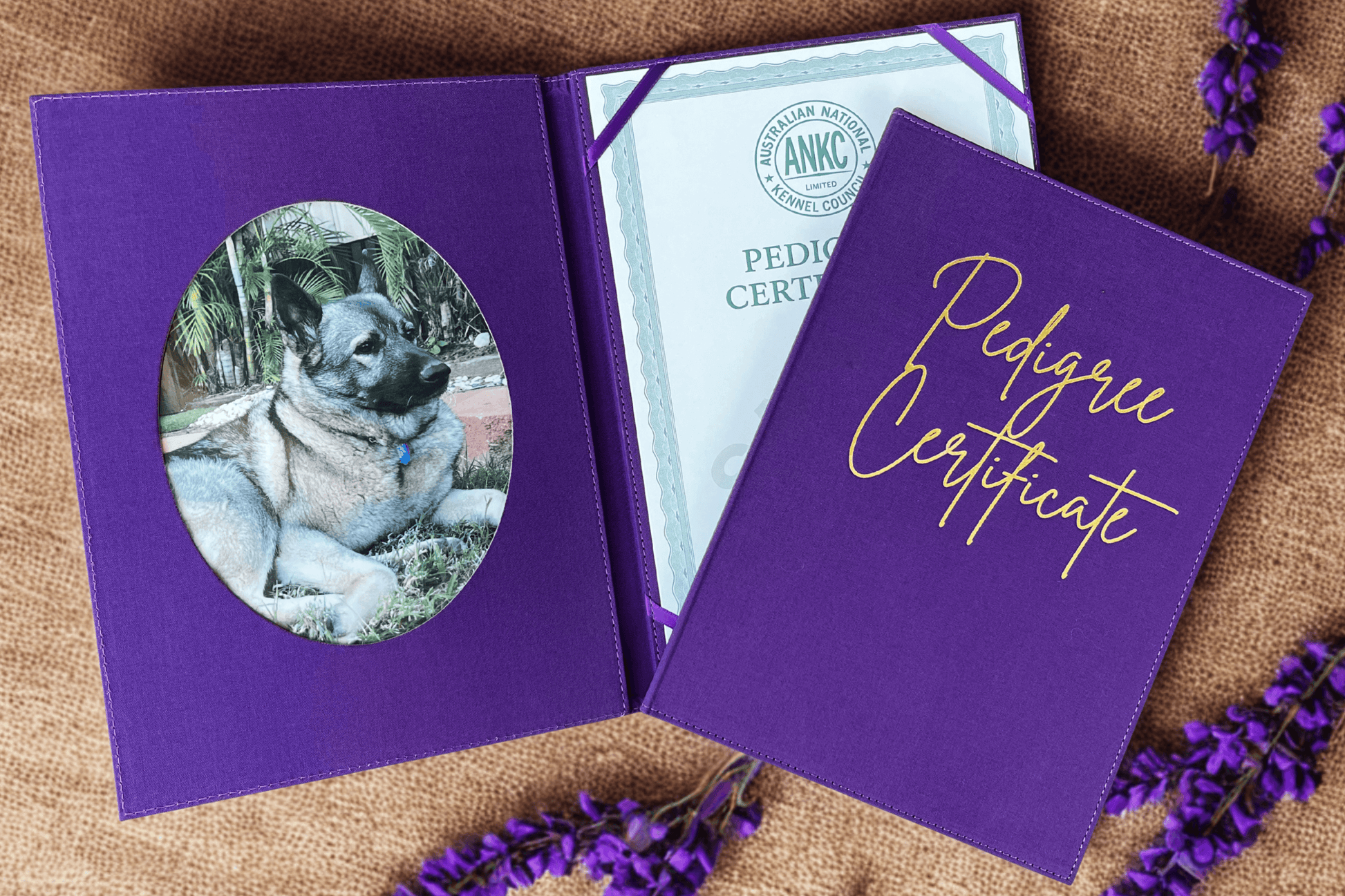 Executive Pedigree Registration Certificate Folder 