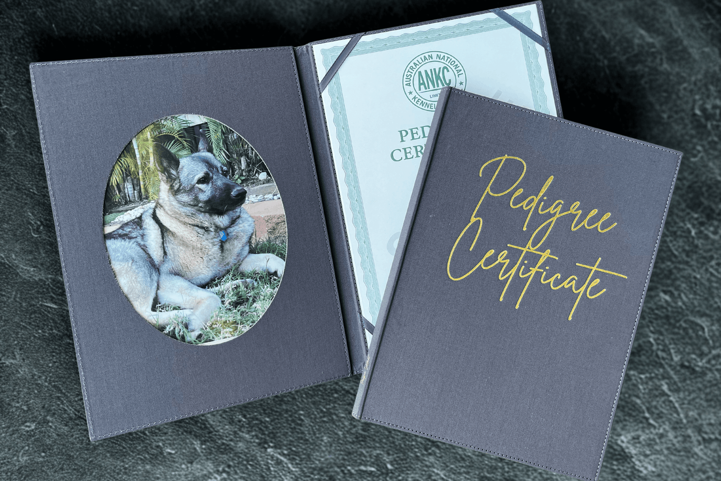 Dog photo album with a pedigree certificate on a dark surface