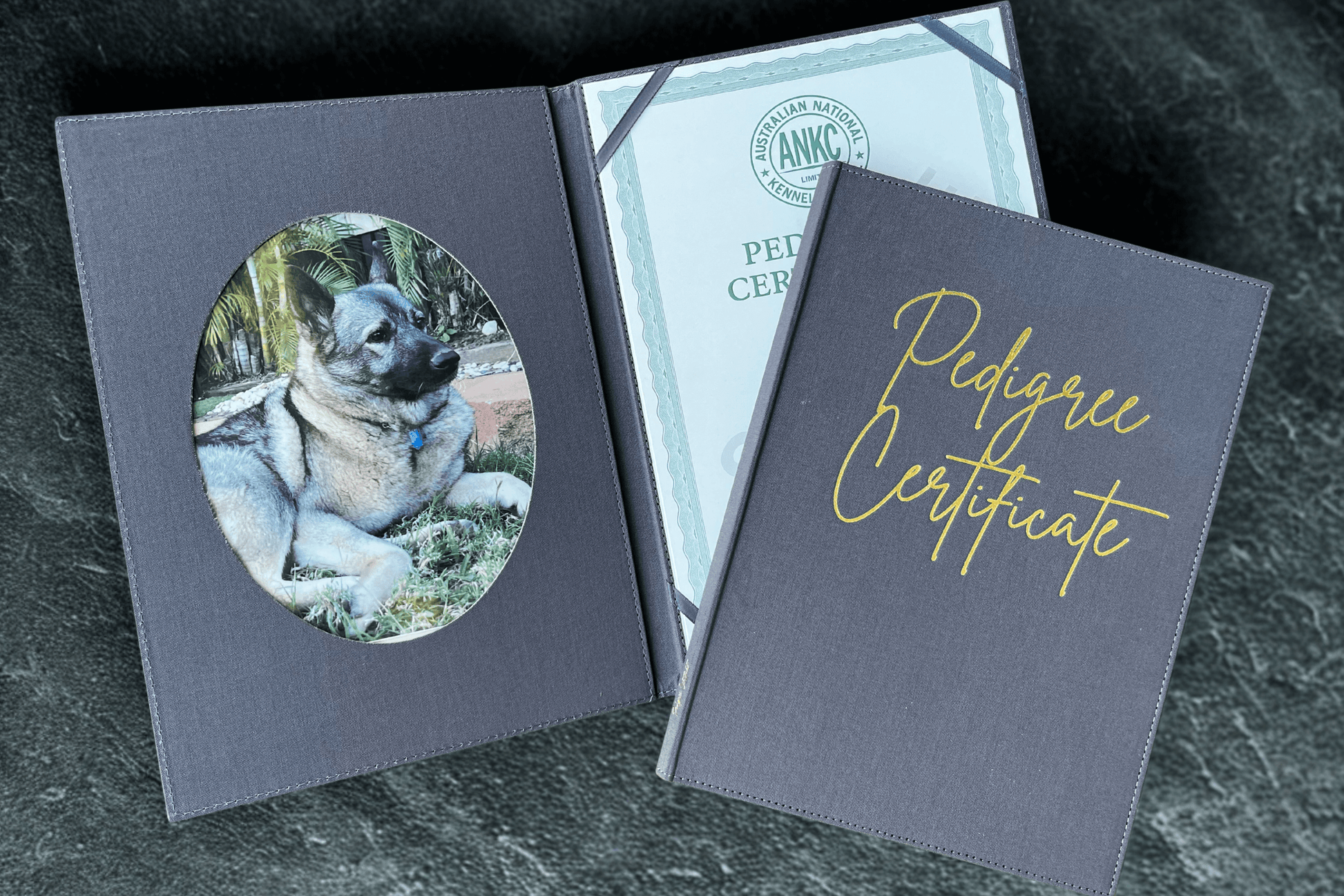 Dog photo album with a pedigree certificate on a dark surface